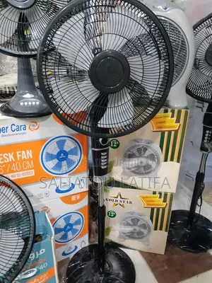 Nouvelle Arrivage