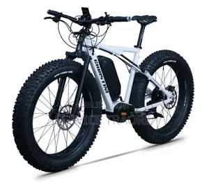Vélo Électrique