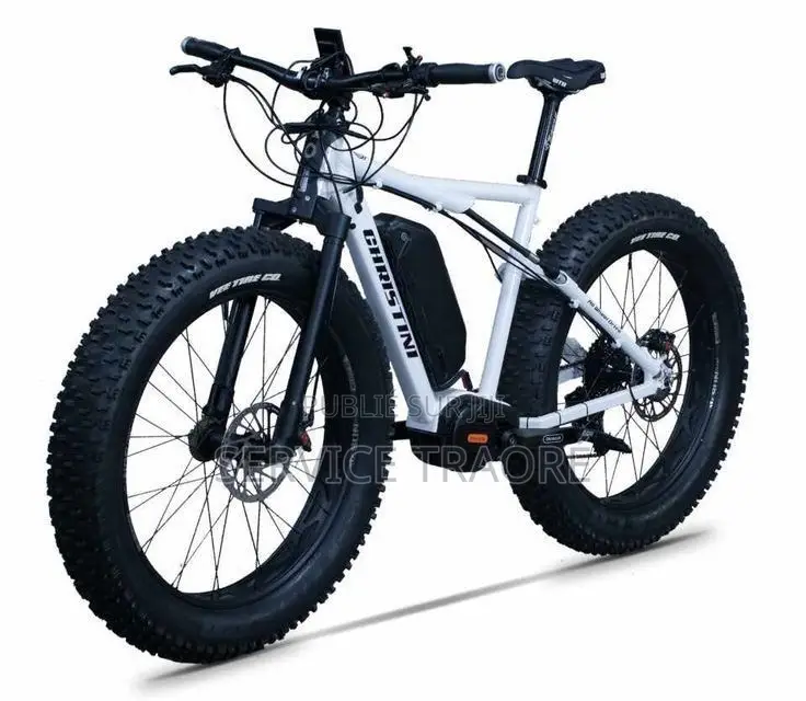 Vélo Électrique