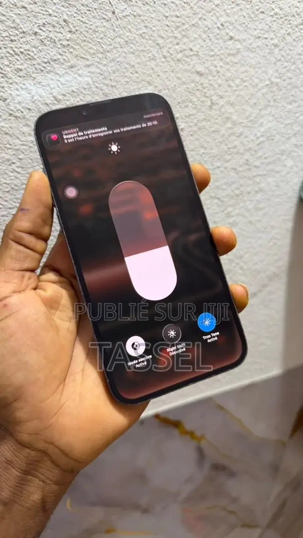 Nouveau Apple iPhone 13 Pro Max 256 GB Bleu
