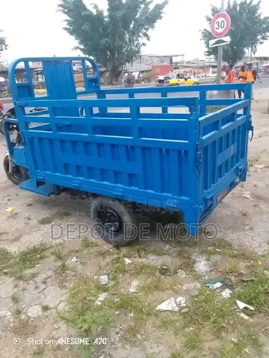 Nouveau Tricycle Autre 2020 Bleu