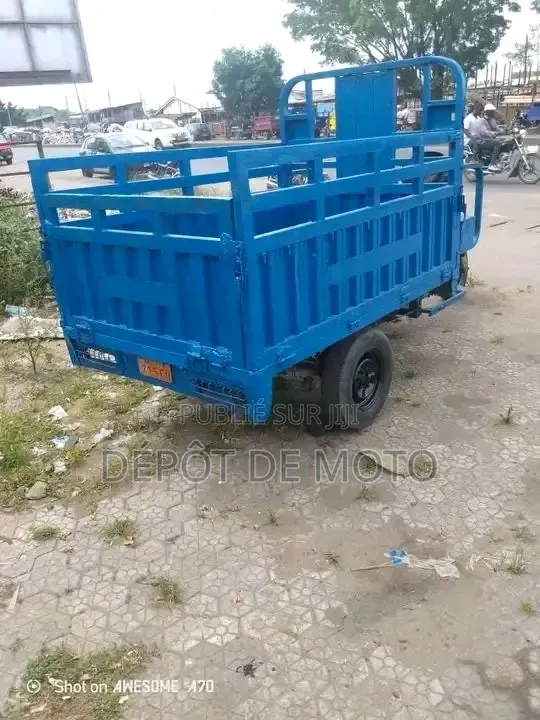 Nouveau Tricycle Autre 2020 Bleu