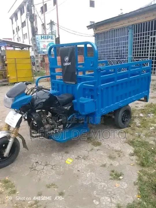 Nouveau Tricycle Autre 2020 Bleu