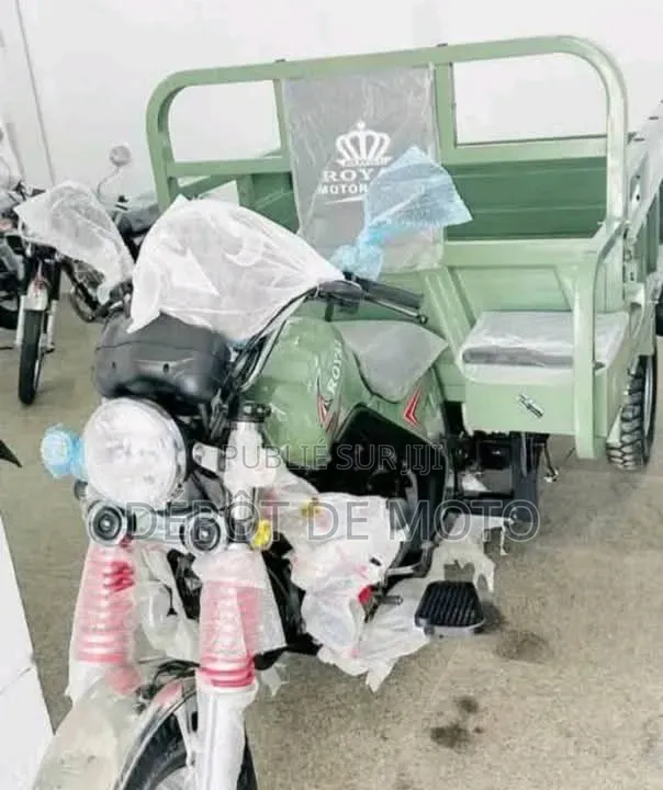 Nouveau Tricycle Autre 2025 Vert