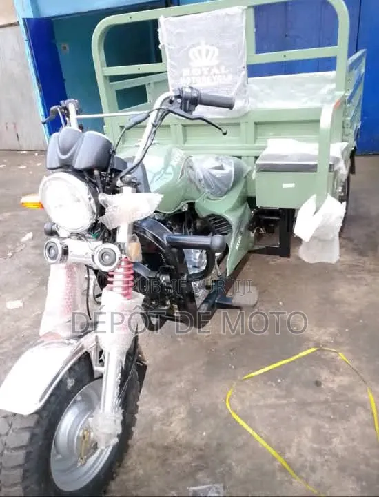 Nouveau Tricycle Autre 2025 Vert