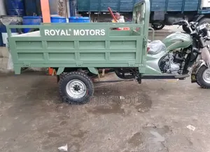 Nouveau Tricycle Autre 2025 Vert