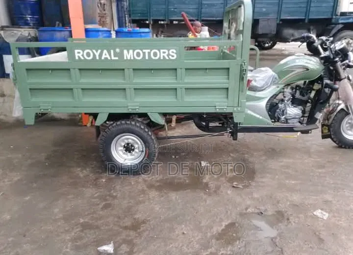 Nouveau Tricycle Autre 2025 Vert