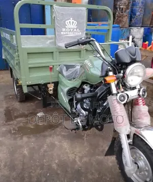 Nouveau Tricycle Autre 2025 Vert