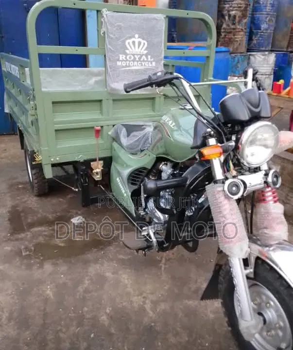 Nouveau Tricycle Autre 2025 Vert