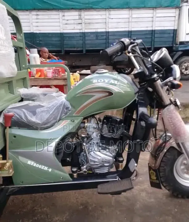 Nouveau Tricycle Autre 2025 Vert