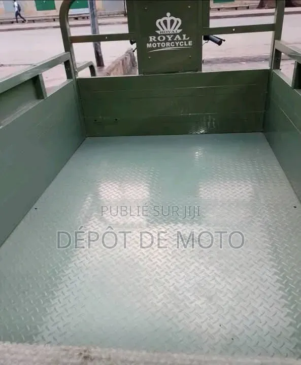 Nouveau Tricycle Autre 2025 Vert