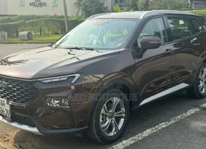 Ford Territory 2024 Marron
