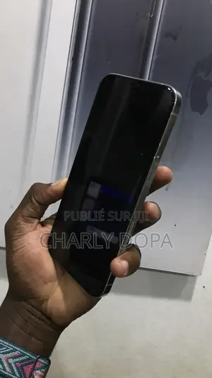 Apple iPhone 12 Pro Max 128 GB Blanc