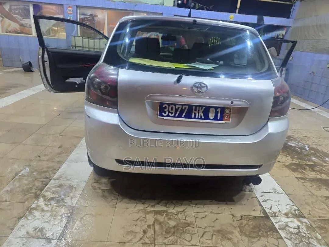 Toyota Corolla 2002 Gris