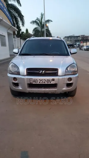 Hyundai Tucson 2007 Gris