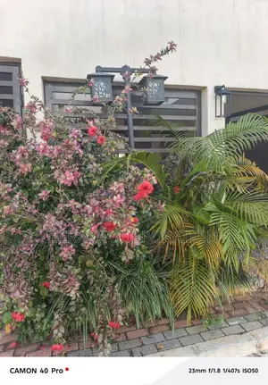 5chbre Duplex dans Beraka Corporation, Bingerville à Louer