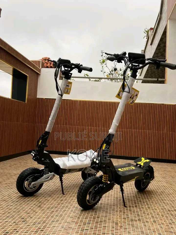 Vélo Électrique