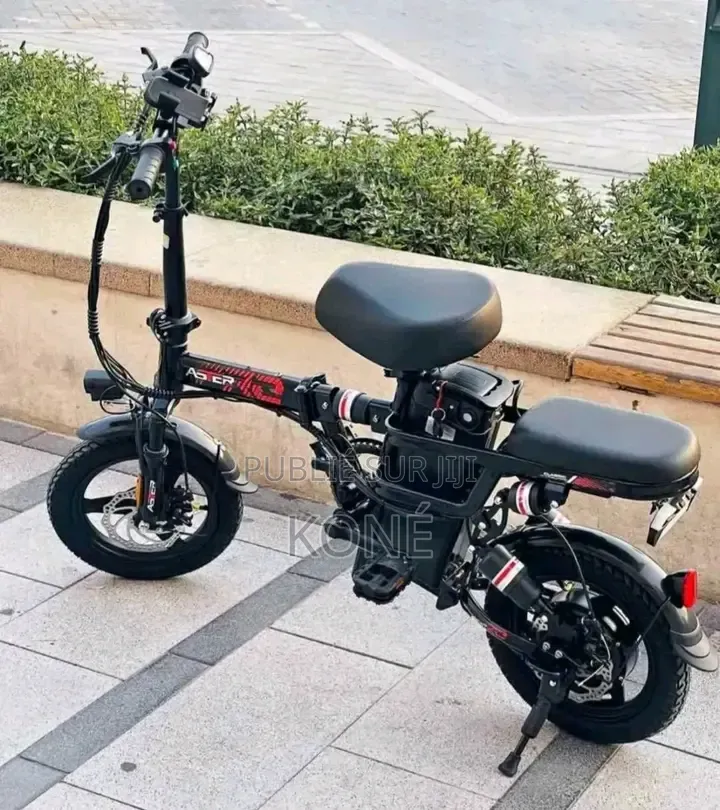 Vélo Électrique