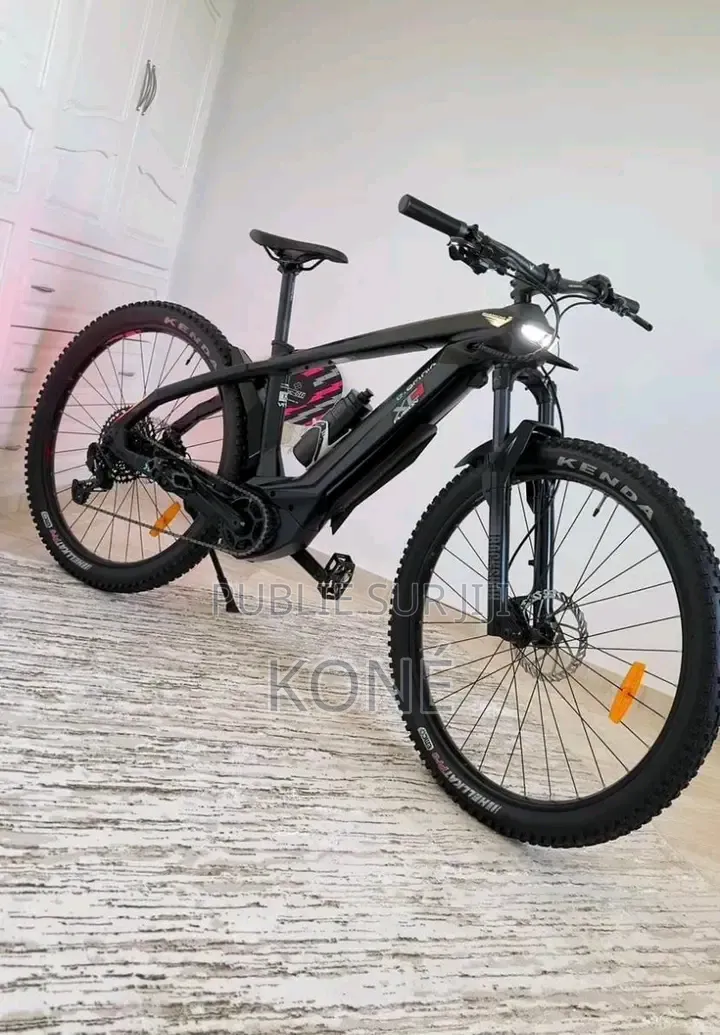 Vélo Électrique