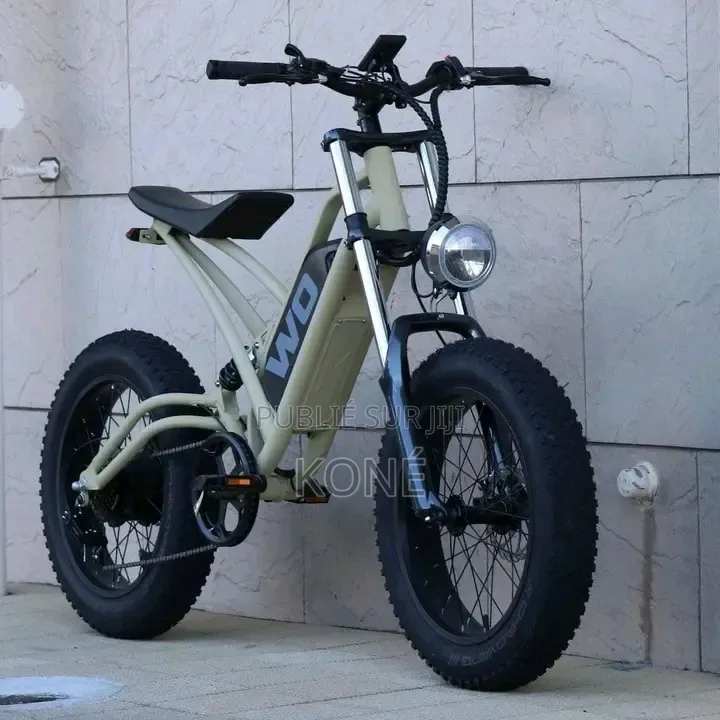 Vélo Électrique