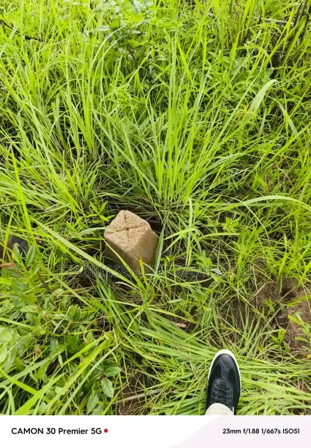 Lot De 400 M2 Disponible À Bouaké Avec Titre Foncier