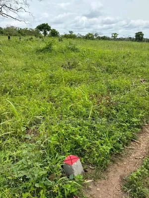 Lot De 400 M2 Disponible À Bouaké Avec Titre Foncier