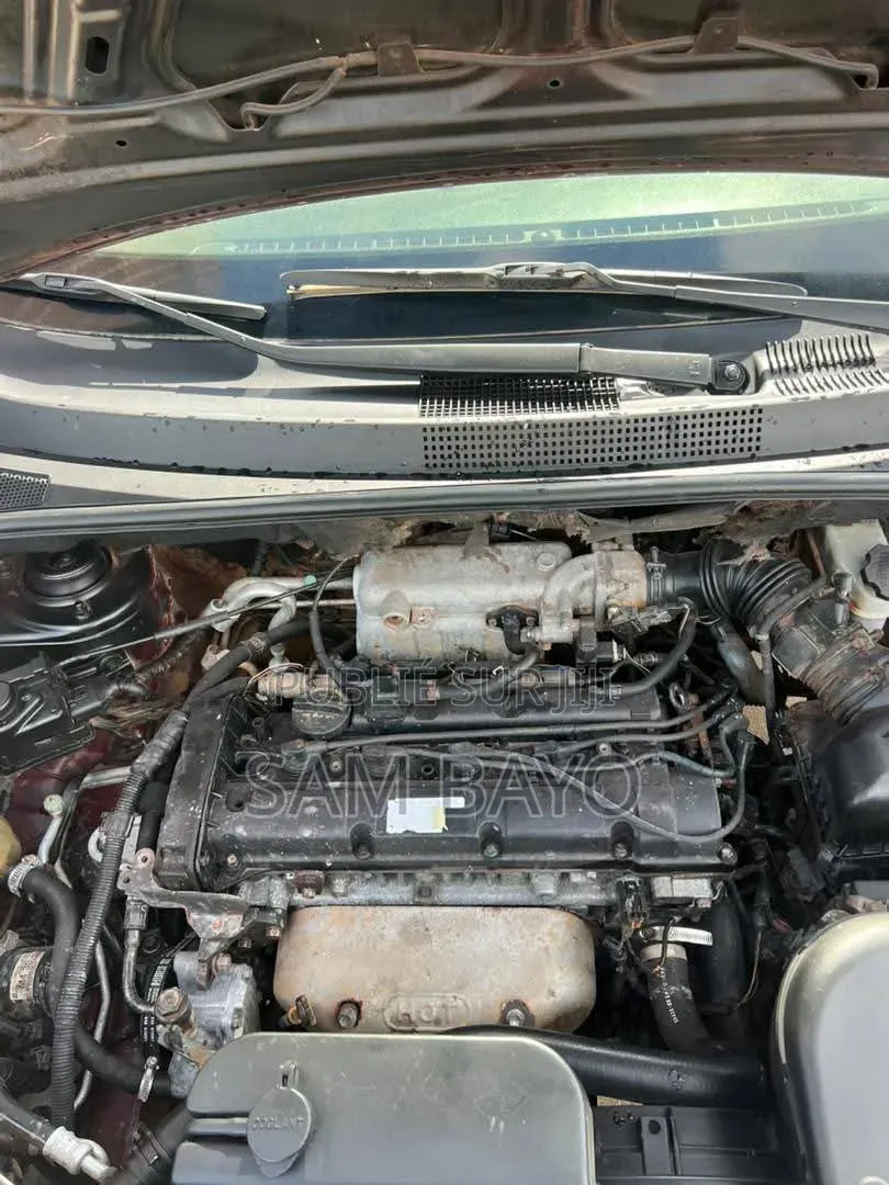 Hyundai Tucson 2006 Bordeaux