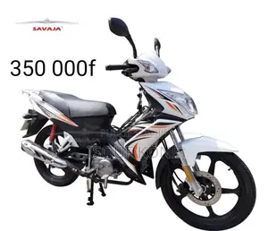 Nouveau Apsonic AP125-30 2025 Argenté