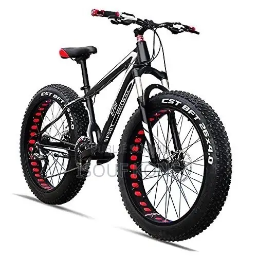 Vélo Électrique Rapide