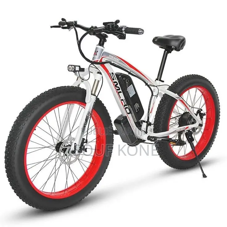 Vélo Électrique Rapide