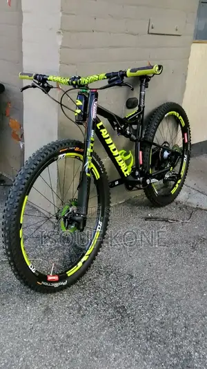 Vélo Électrique