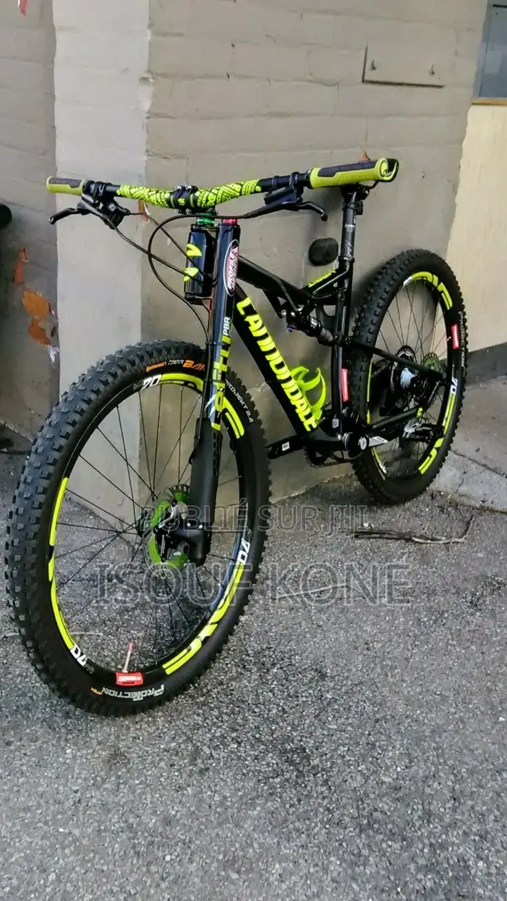 Vélo Électrique
