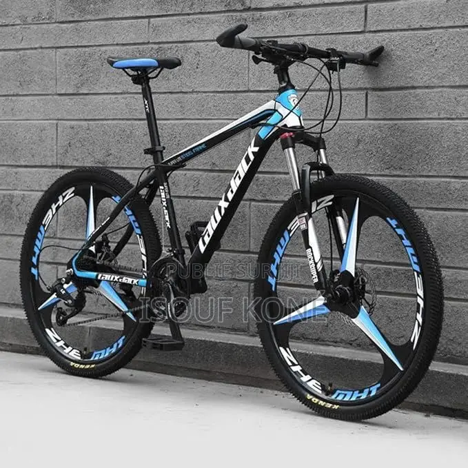 Vélo Électrique