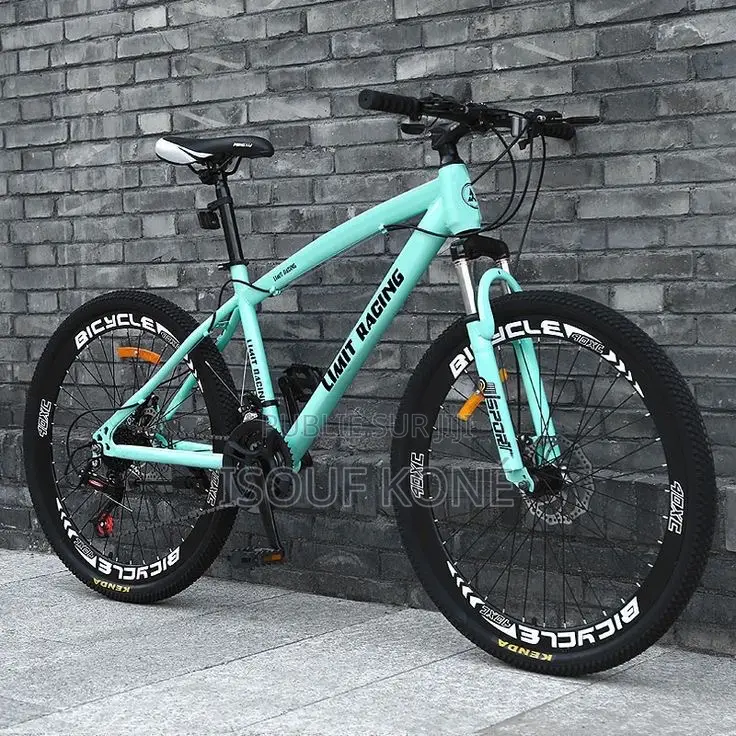 Vélo Électrique