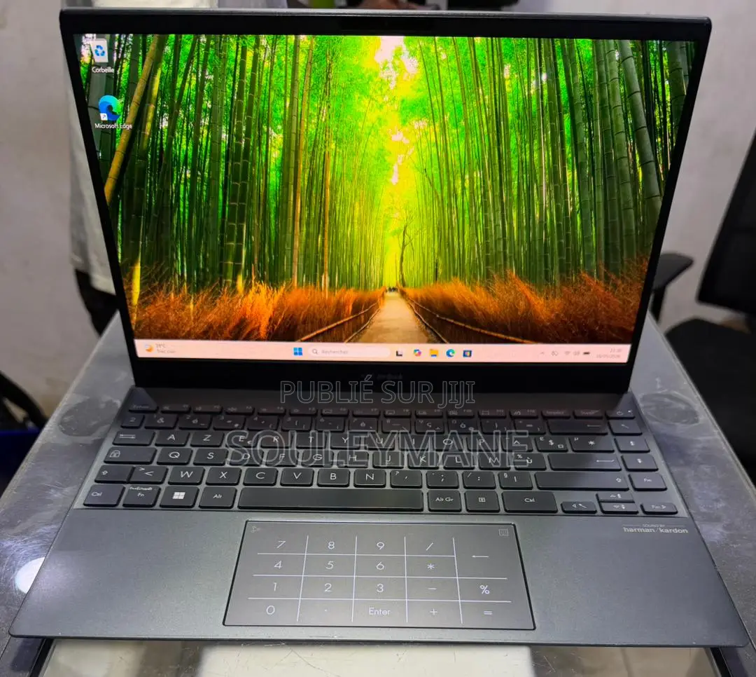 Ordinateur portable Asus Zenbook 14 UX434 16GB Intel Core i5 SSD 512GB
