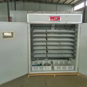 Incubateur Domestique Pour Œufs