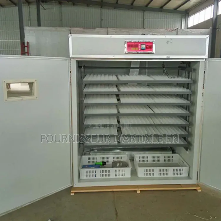 Incubateur Domestique Pour Œufs