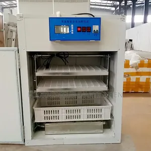 Incubateur Domestique Pour Œufs
