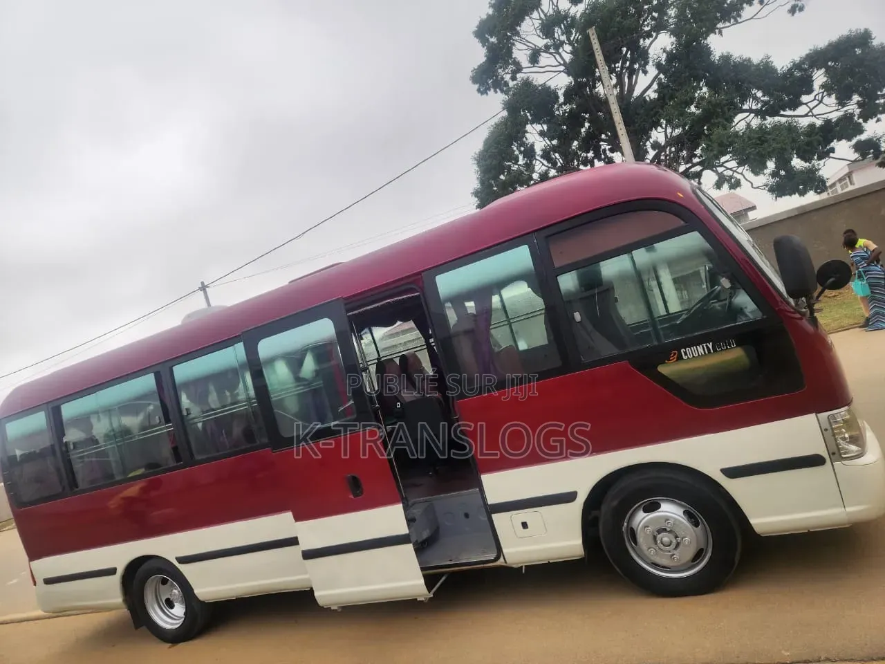 Hyundai County 2018 Rouge
