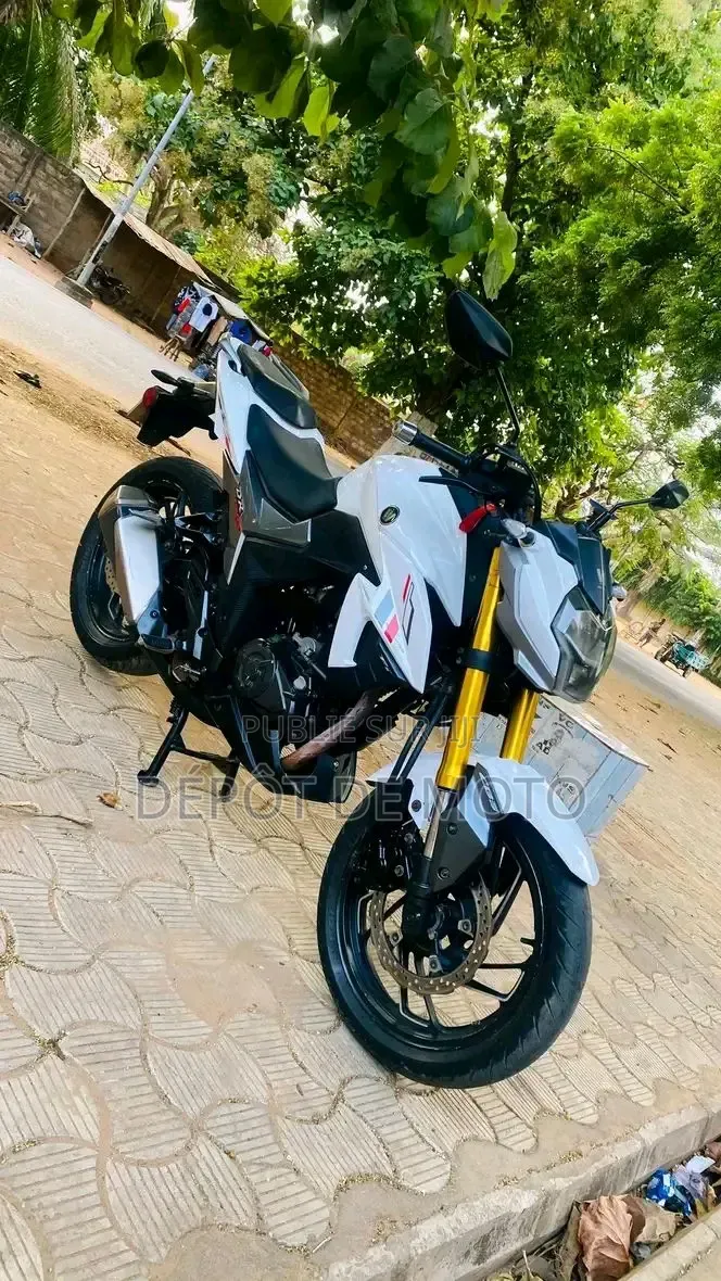 Nouveau Haojue DR190S 2025 Blanc