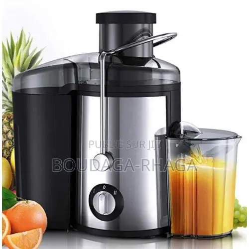Extracteur De Jus 800w Inox – 2 Vitesses – Jus Rapide Naturel À