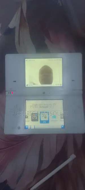 Nintendo Dsi