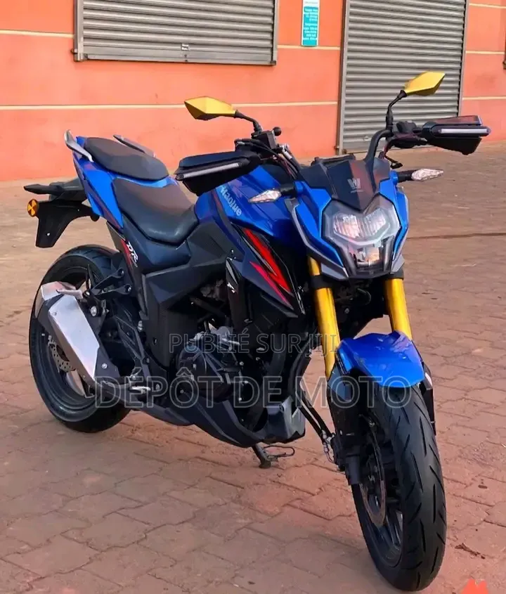 Nouveau Haojue DR190S 2022 Bleu