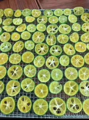 Machine De Séchage Alimentaire – Pour Fruits, Poisson, Viande Et Plus
