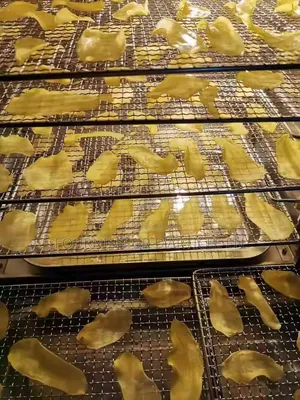 Machine De Séchage Alimentaire – Pour Fruits, Poisson, Viande Et Plus