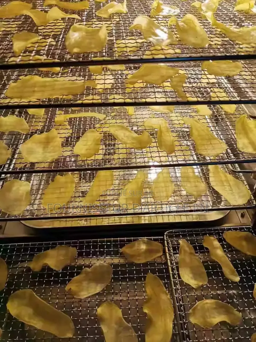 Machine De Séchage Alimentaire – Pour Fruits, Poisson, Viande Et Plus