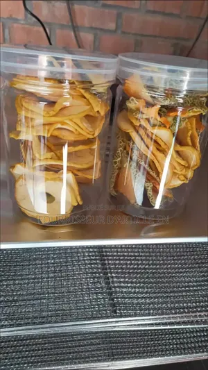 Machine De Séchage Alimentaire – Pour Fruits, Poisson, Viande Et Plus