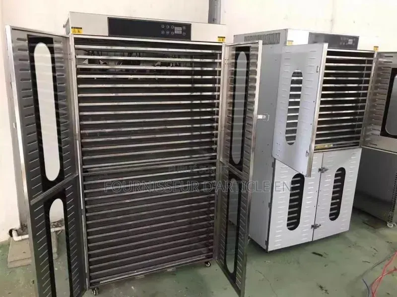 Machine De Séchage Alimentaire – Pour Fruits, Poisson, Viande Et Plus