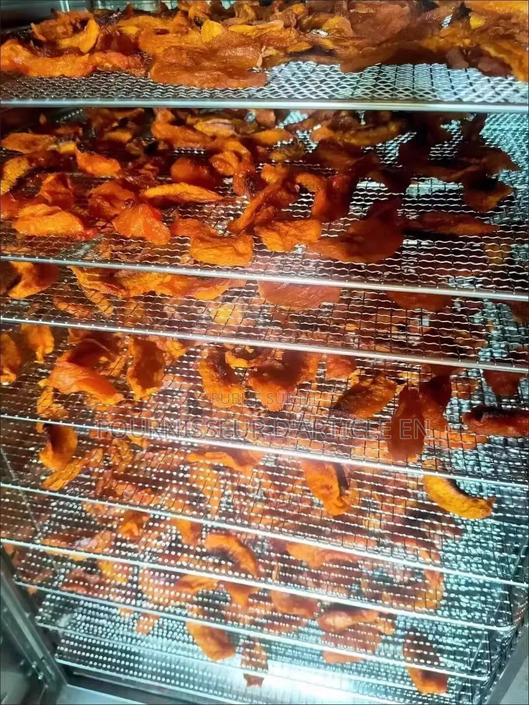 Machine De Séchage Alimentaire – Pour Fruits, Poisson, Viande Et Plus