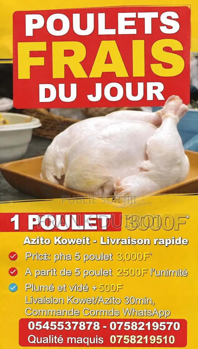 Vente De Poulet À 3000fcfa